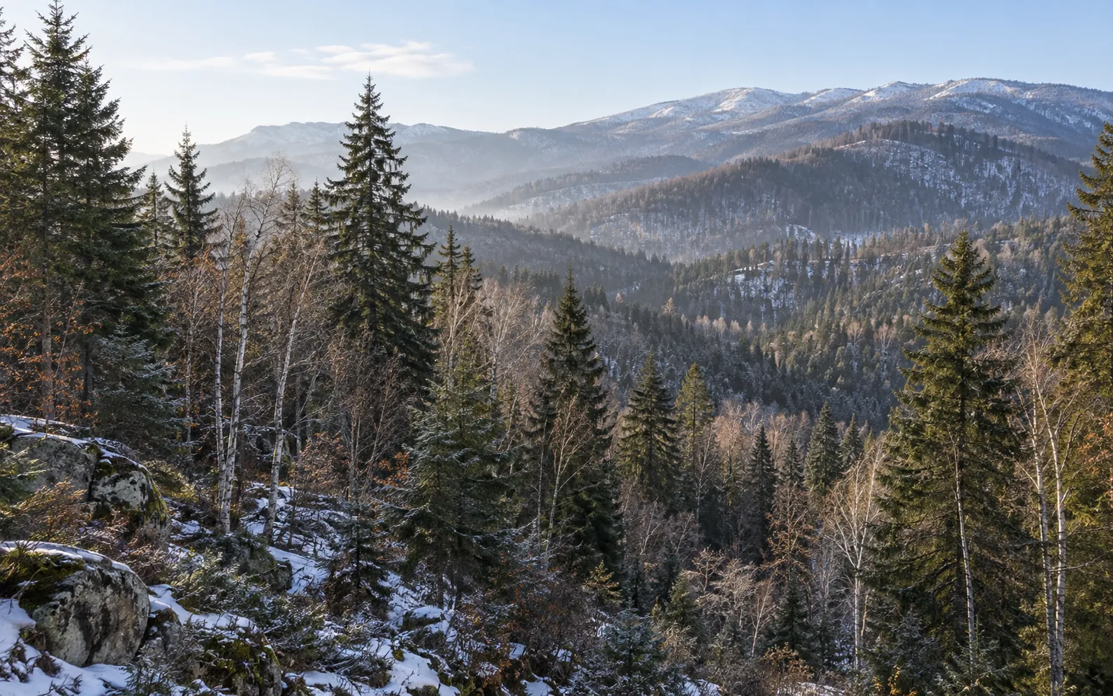 Landscape illustration inspired by the Changbai Mountains, showing forested slopes and pale alpine peaks; not a location photograph
