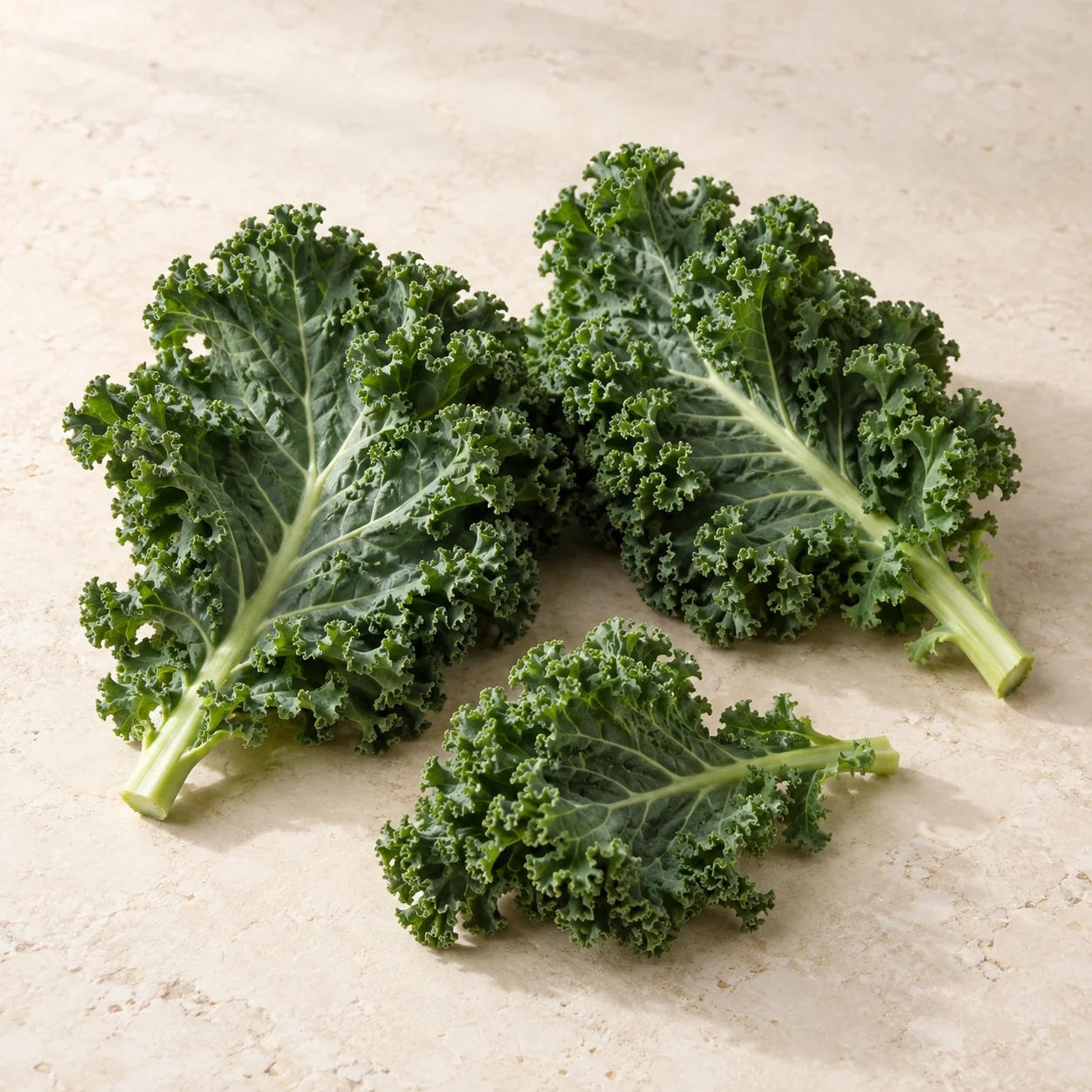 Fresh curly kale leaves arranged on pale stone; editorial ingredient illustration